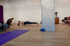 yogaflows Freising Budokon