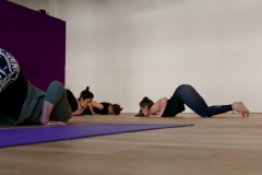 yogaflows Freising Budokon